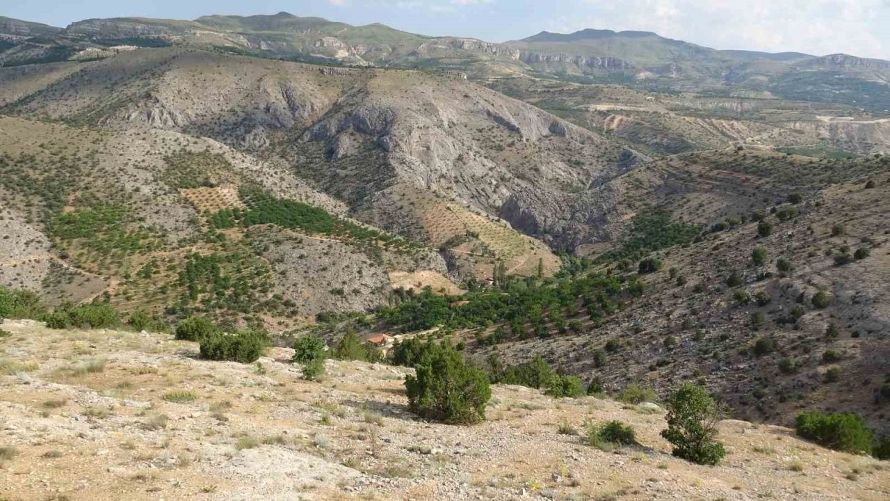 Güvenlik güçleri Aysel Yıldırım için 1600 rakımlı dağlık alanda arama çalışması yaptı