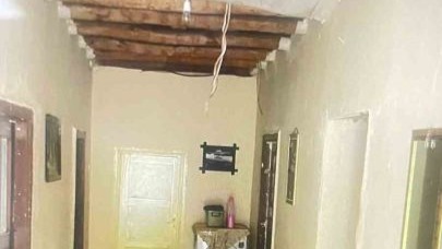 Hakkari’de yılan paniği