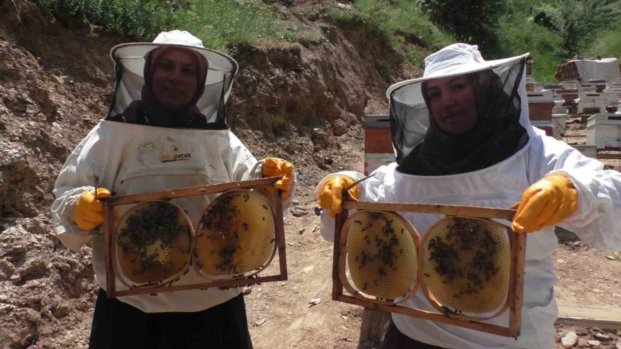 İki kadından arıcılık başarısı: 5 kovandan 100 kovana ulaştılar