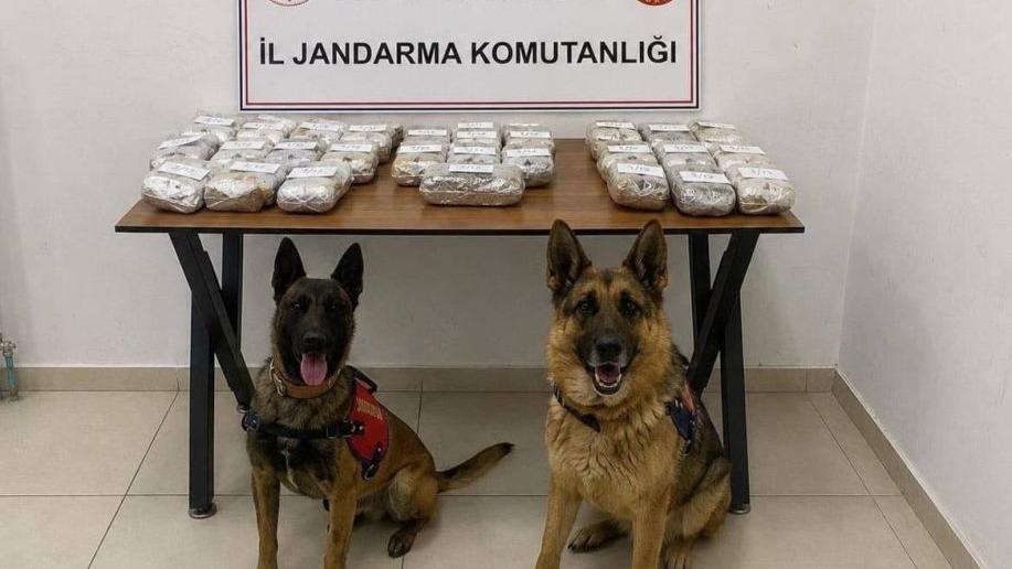 Jandarma Hakkari’de 21 kilo 650 gram toz esrar ele geçirdi