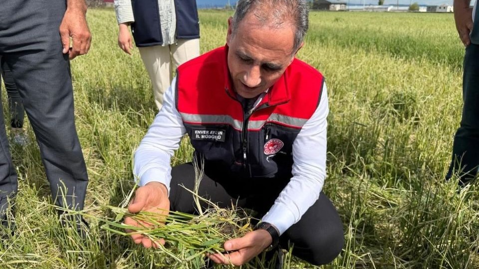 Kars'ta dolu vurdu, ekipler sahaya indi
