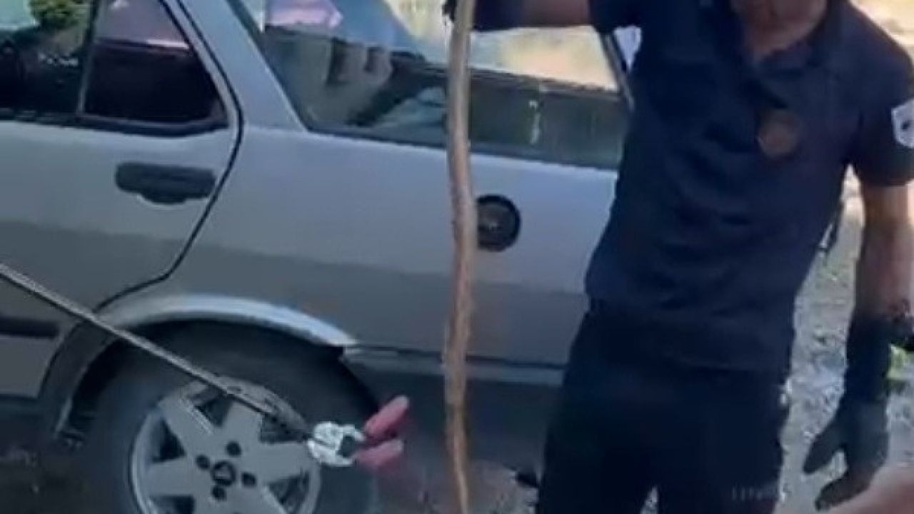 Otomobile giren yılan paniğe neden oldu