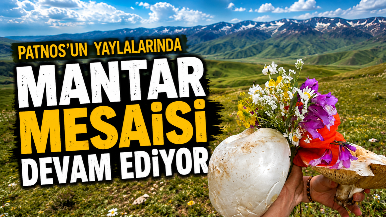 Patnos Yaylalarında Mantar Mesaisi Başladı