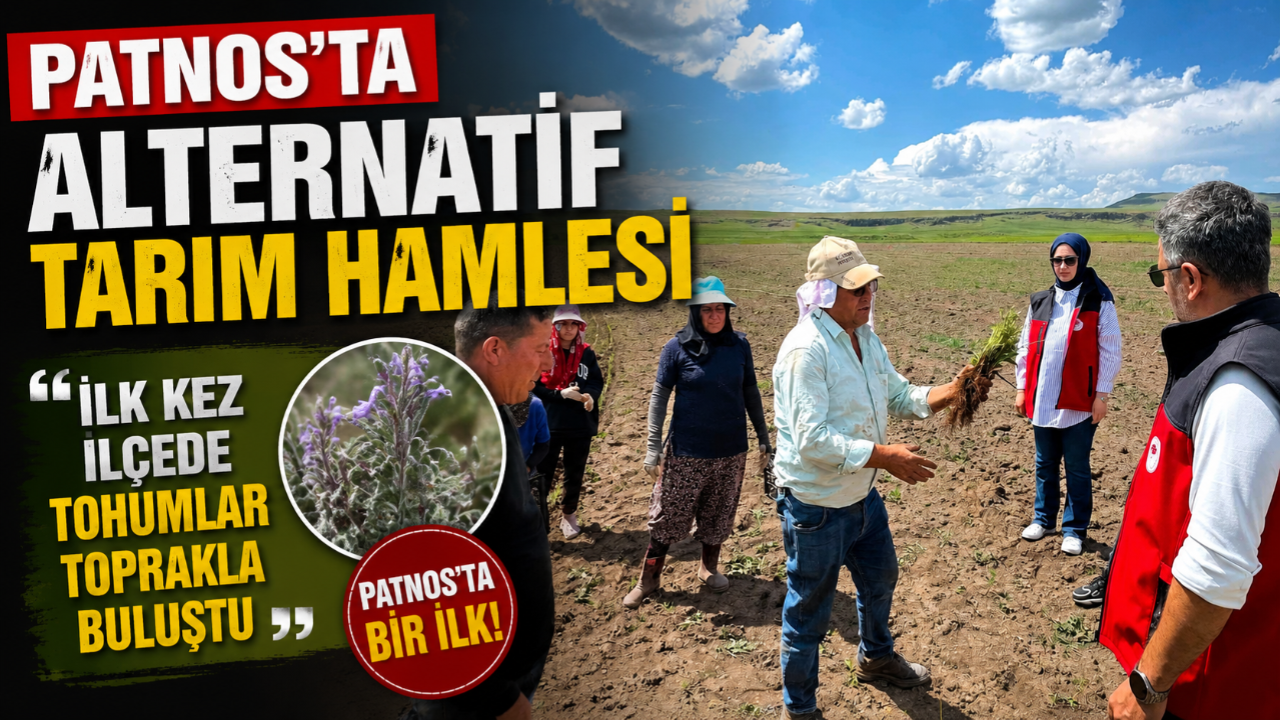 Patnos'ta Bir İlk! 30 Dönümlük Arazide Yeni Dönem Başladı