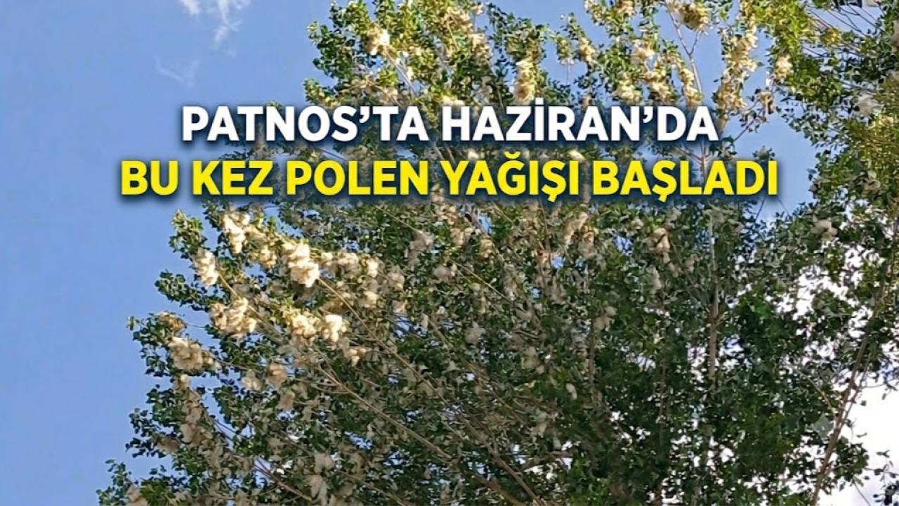 Patnos'ta bu kez kar değil polen yağıyor