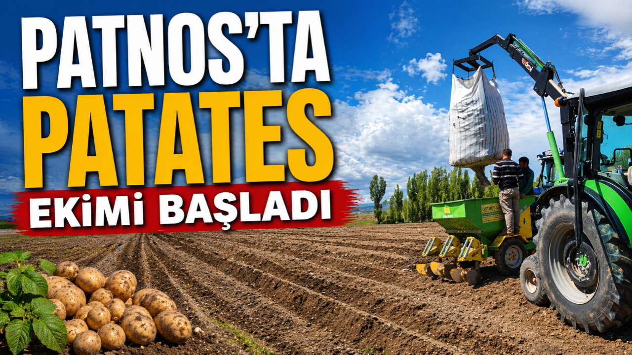 Patnos'ta Patates Ekimi Başladı