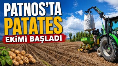 Patnos'ta Patates Ekimi Başladı