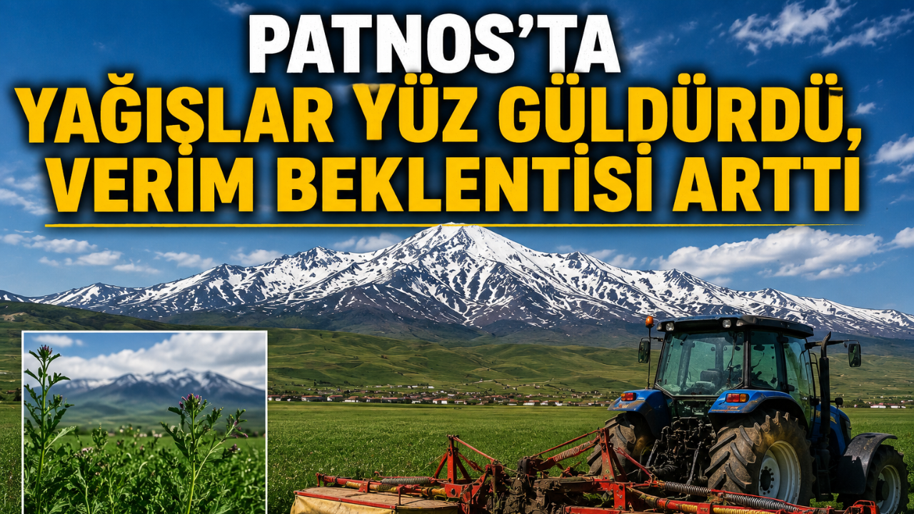 Patnos'ta Yağışlar Yüz Güldürdü, Verim Beklentisi Arttı