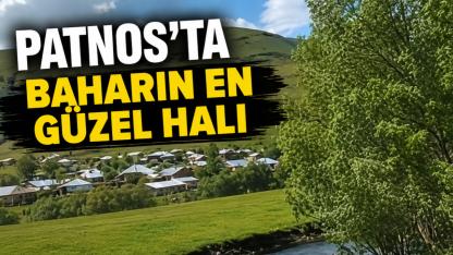 Patnos'un Eşsiz Doğası Haziran Ayında Büyülüyor