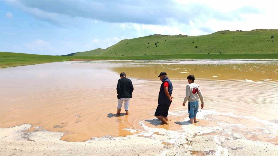 Sağanak yağış Ahlat’ta sele yol açtı