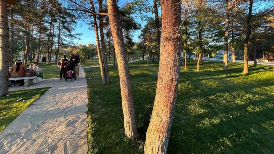Uzmanlardan kene uyarısı: "Bilinçsiz müdahale riski artırıyor"