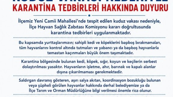 Van'da kuduz vakası 6 mahallede karantina uygulaması başladı