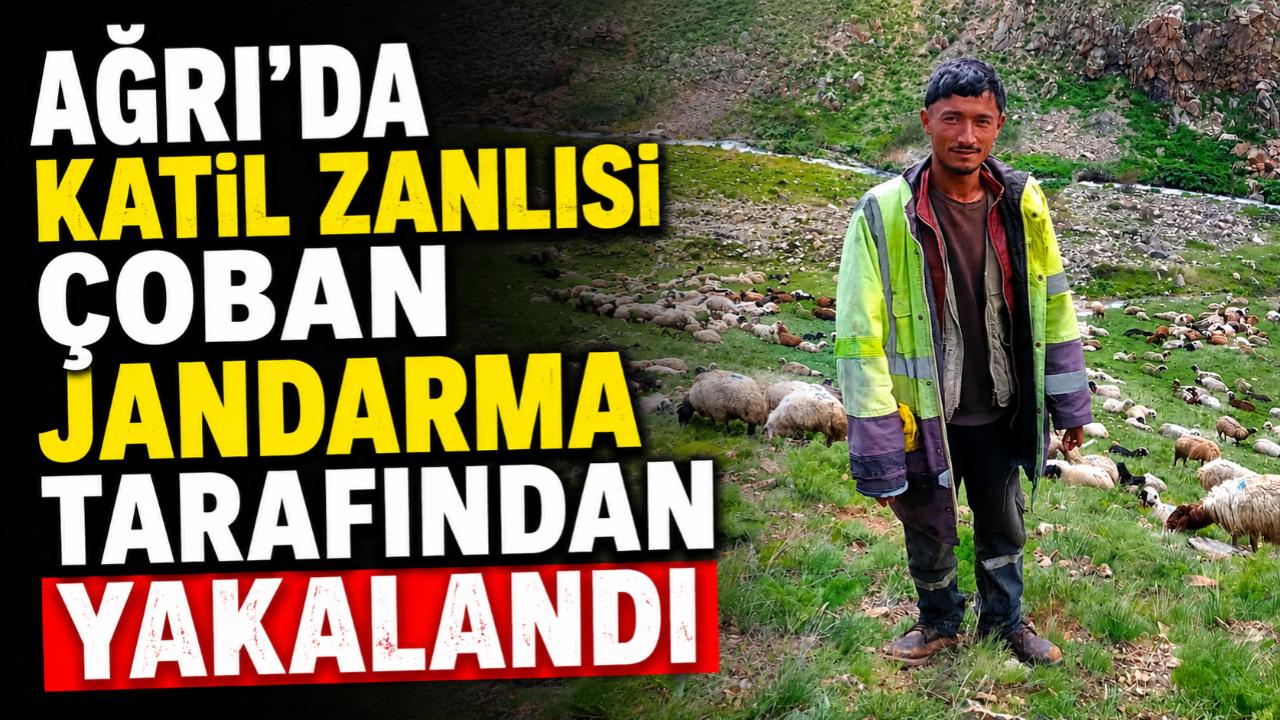 Yaylada İşlenen Cinayetin Zanlısı Kaçamadı: Jandarma Kontrol Noktasında Yakalandı
