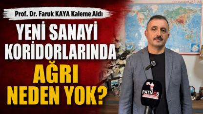 YENİ SANAYİ KORİDORLARINDA AĞRI NEDEN YOK?