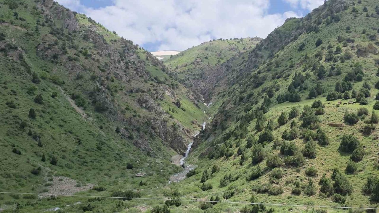 20 yıl sonra yeniden hayat buldu: Çatak’ta kuruyan su kaynağı akmaya başladı