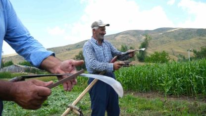 İmece Usulü Tırpan Mesaisi Başladı