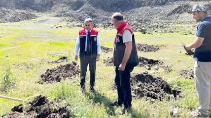 Erzurum Palandöken’de 2 bin 500 rakımda yeşil kalkan