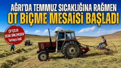 Ağrı’da     Temmuz sıcağına rağmen ot biçme mesaisi başladı