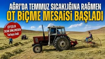 Ağrı’da     Temmuz sıcağına rağmen ot biçme mesaisi başladı