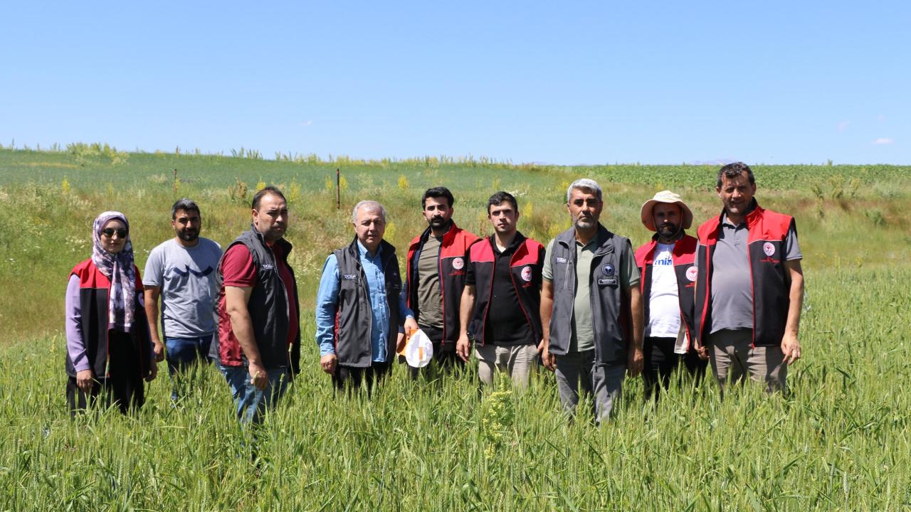 Ağrı’da Verim Kaybını Önlemek İçin Süne Surveyi