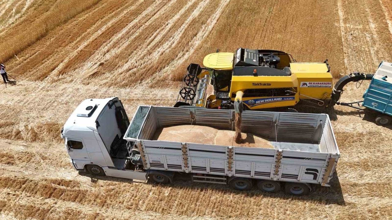 Erzincan'da hasat sezonunda ürün kaybına ve kuralsızlığa geçit yok