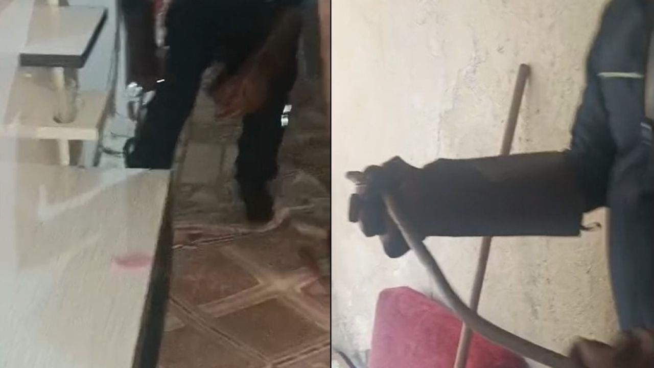 Eve giren yılan kısa süreli paniğe yol açtı