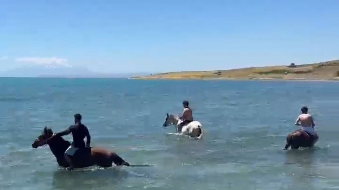 Muradiye'de sıcaktan bunalan gençler atlarıyla Van Gölü’nde serinledi