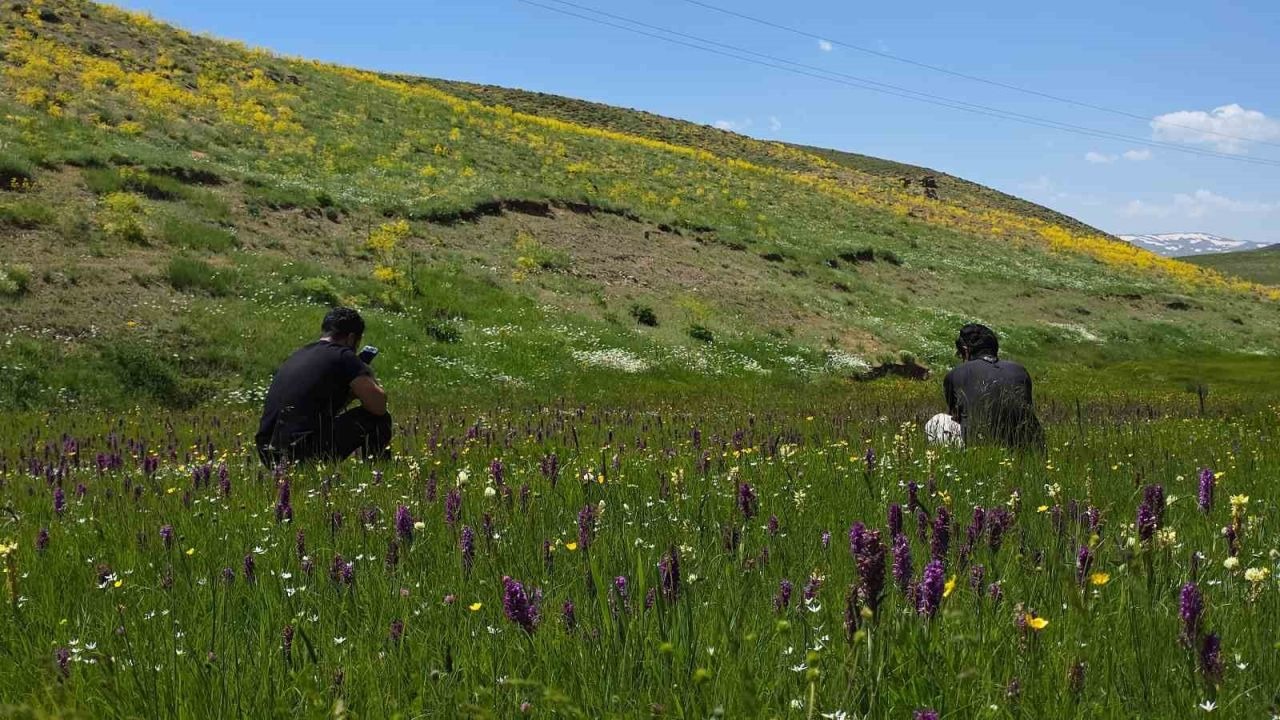 Norduz yaylaları, çiçekleri ve karlı zirveleriyle mest ediyor