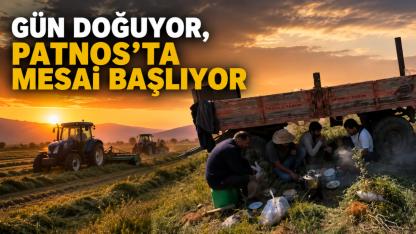 Patnos'ta Yonca Biçim Mesaisi Sürüyor
