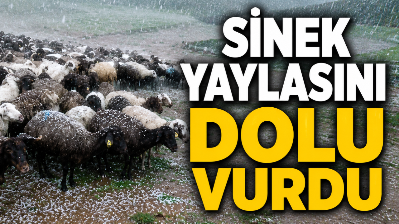 Taşlıçay Sinek Yaylasını dolu vurdu (Videolu Haber)