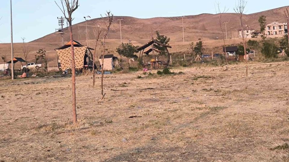 Van Tuşba'da mavi bayraklı sahilde ’siyah’ alarm