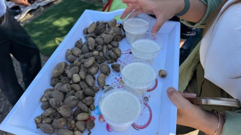 Yüksekova’da tarımda yeni dönem: Yoncalı köyünde ilk ticari salep hasadı yapıldı