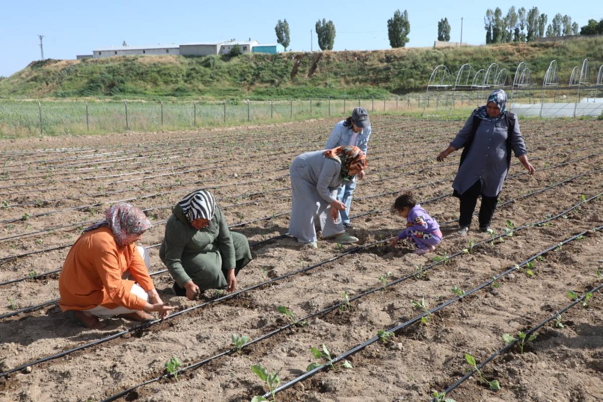 Erciş Belediyesi Destekli