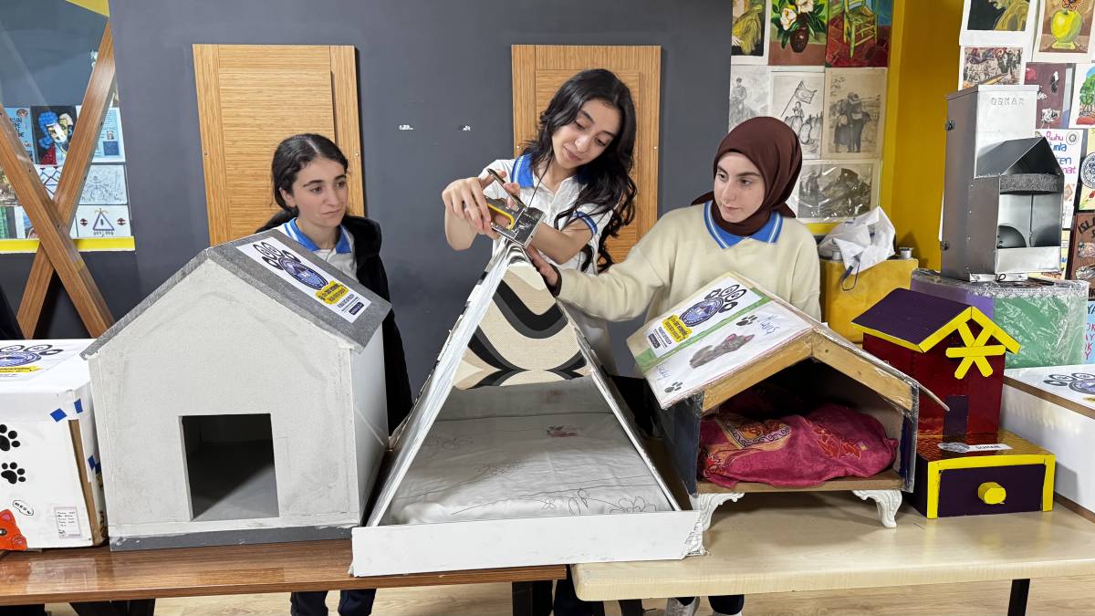Ağrı’da atık malzemeler sokak hayvanları için yuvaya dönüştü