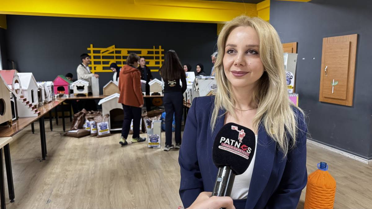 Ağrı’da atık malzemeler sokak hayvanları için yuvaya dönüştü