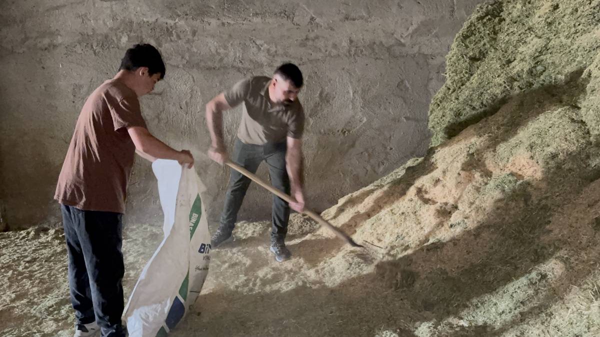 Kırsalda Bereket Projesi Ağrı’da üreticinin yüzünü güldürüyor