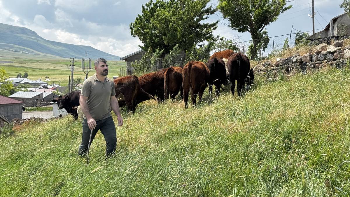 Kırsalda Bereket Projesi Ağrı’da üreticinin yüzünü güldürüyor